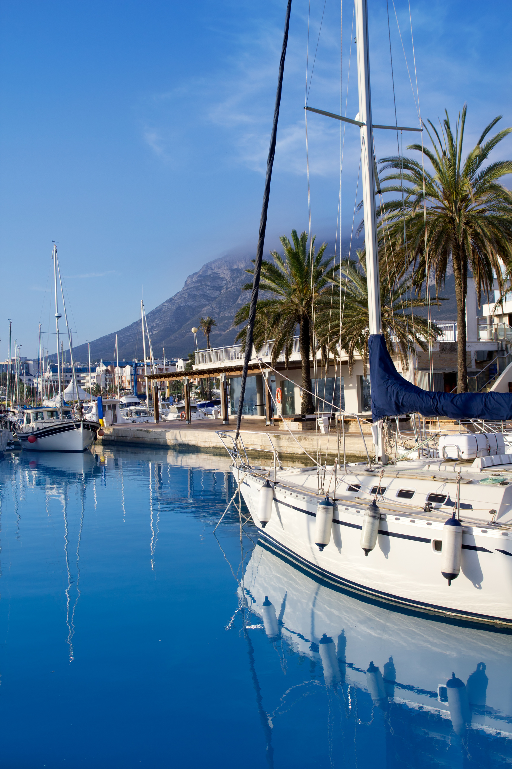 Denia Marina Port Boats and Mongo